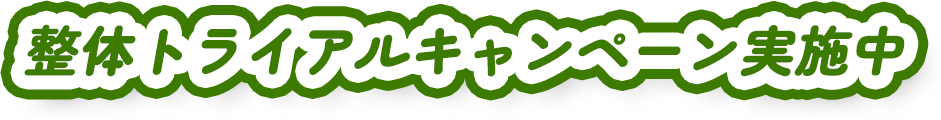 整体トライアルキャンペーン実施中